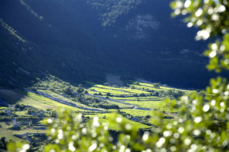 Domaine du Pas de l’escalette